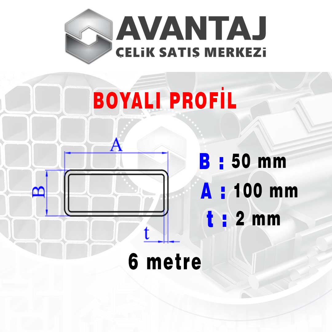 50x100x2 mm Boyalı Kutu profil