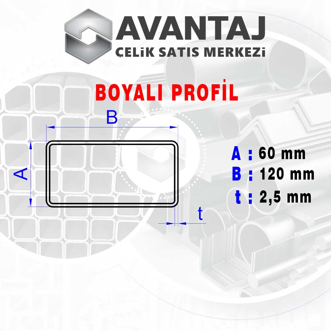 60x120x2,5 mm Boyalı Kutu profil